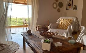 Homonatura. Sense Of Native Living.